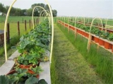 Zorgboerderij VLINDER - green care farma MOTÝL