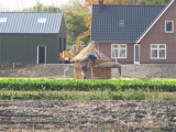 Zorgboerderij VLINDER - green care farma MOTÝL