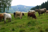 Sdružení NERATOV, z.s.