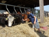 Schwarzelder Hof, aneb farmářské prázdniny v Bavorsku