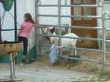 Schwarzelder Hof, aneb farmářské prázdniny v Bavorsku